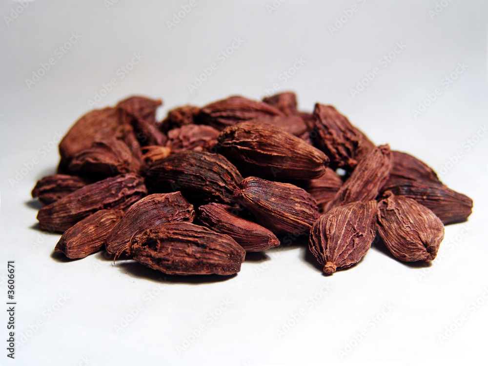 Indian spice, cardamom. Isolated on white. From South India. Indian spice, cardamom. Isolated on white. From South India.
