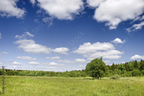 Panoramic photo of spring landscape with blue sky