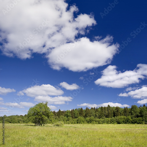 Photo of spring landscape with blue sky