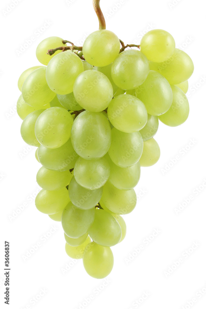bunch of fresh green grapes isolated on white bunch of fresh green grapes isolated on white