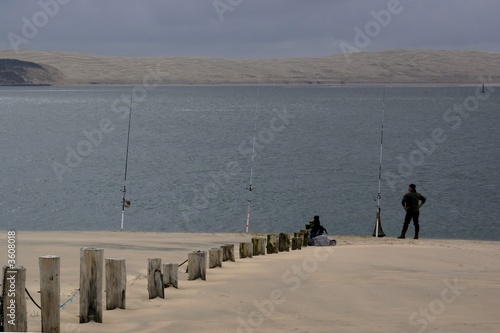 pêche au surf casting