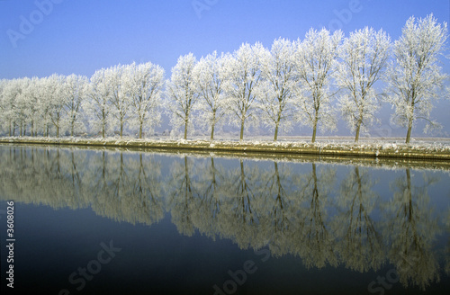 AUDOMAROIS CANAL DE L'AA EN HIVER