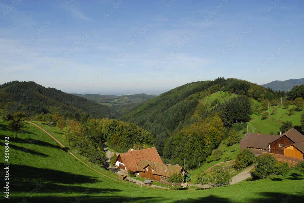 Schwarzwaldtal