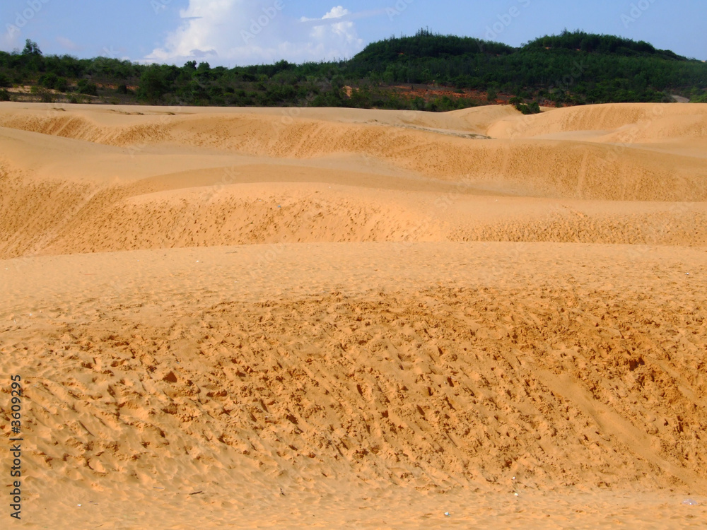 Dune de sable