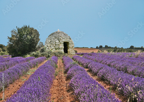 Abri de pierres  photo