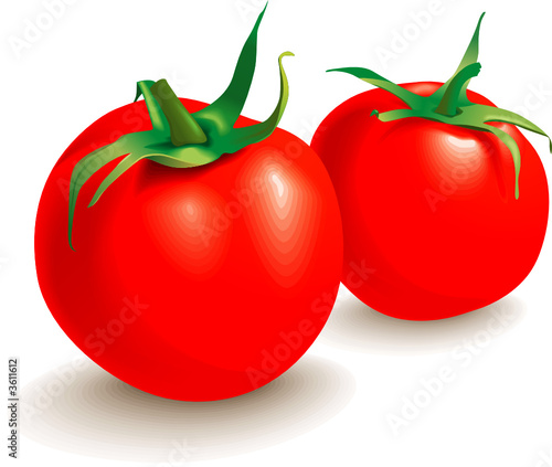 Two tomatoes food  vegetables. Isolated, vector illustration