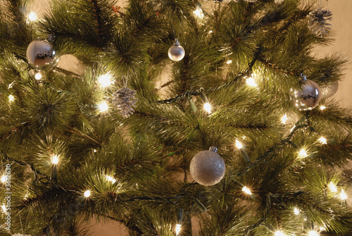 Seasons Greetings