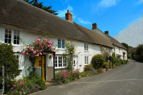 Murais de parede Row of pretty English traditional thatched cottages