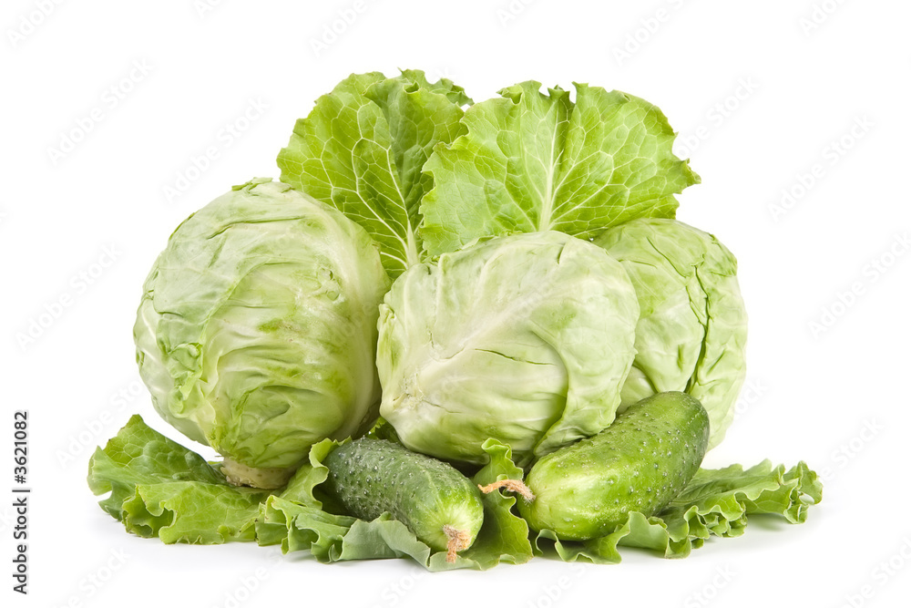 Cabbage, lettuce, cucumbers,