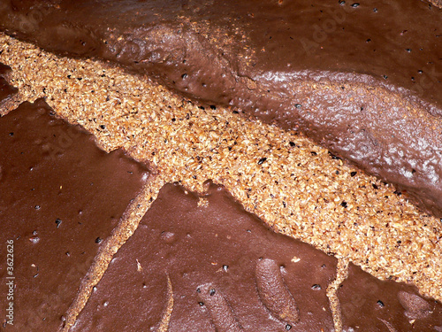 Malt de bière