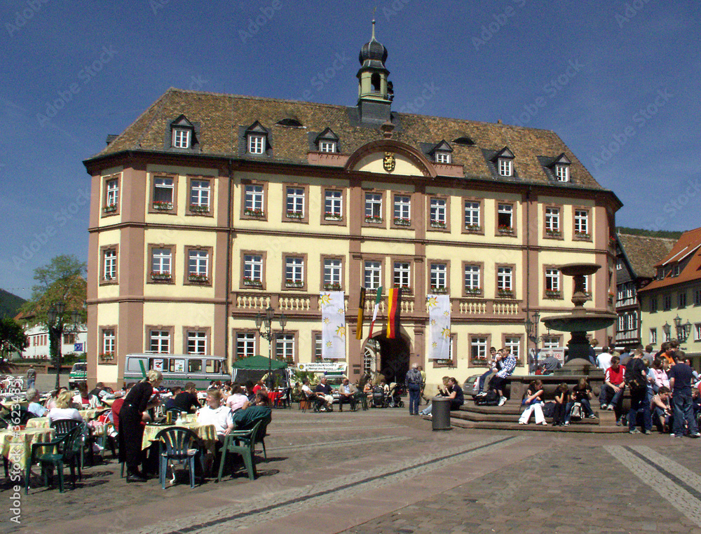 Obraz premium Rathaus Neustadt