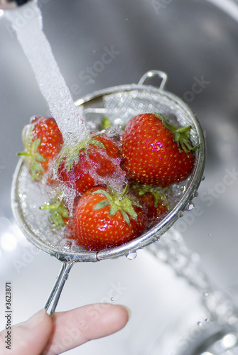 Erdbeeren im Sieb werden unter einem Wasserstrahl gewaschen