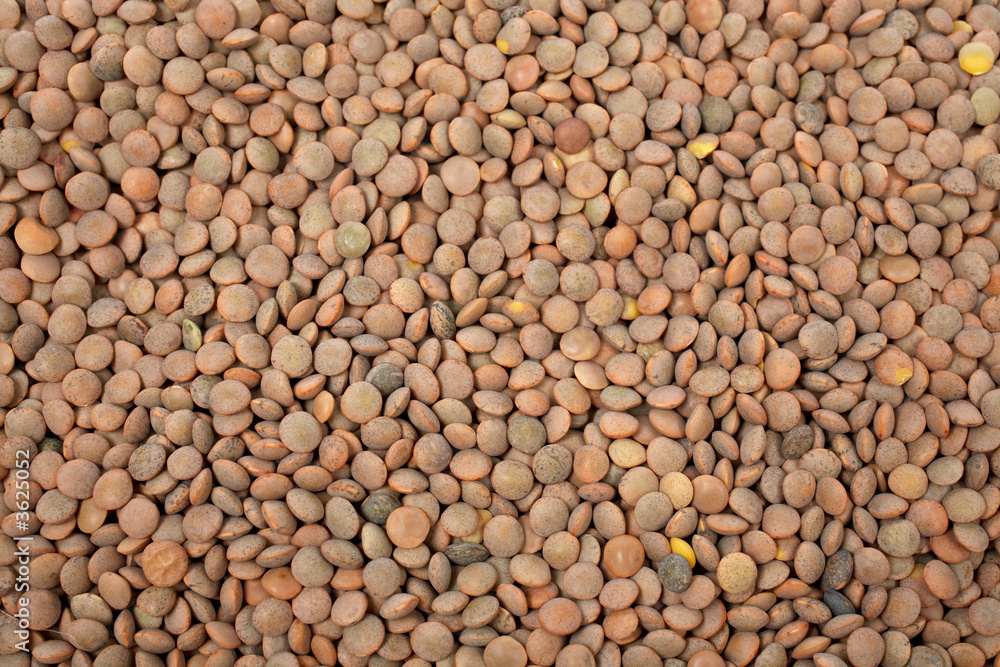 A dried, tasty and delicious lentils background A dried, tasty and delicious lentils background