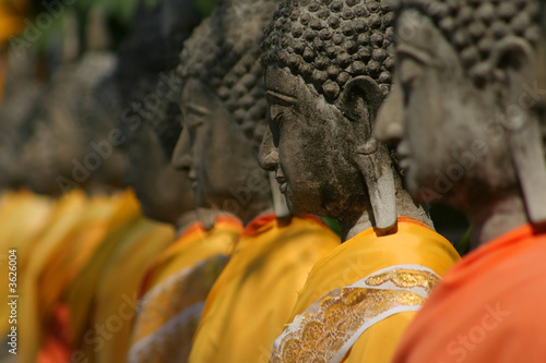 Buddha Statues photo