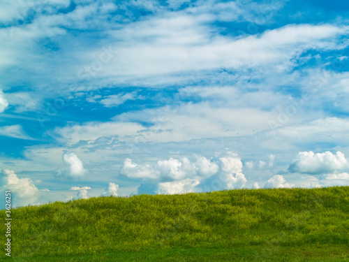 summer landscape with green grass meador and blue clouds