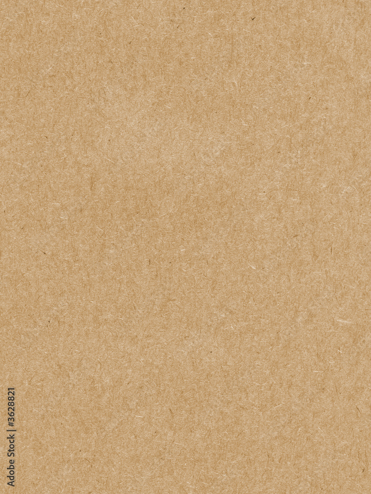 Fototapeta premium A background of sheet of paper