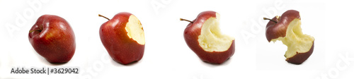 eating autumn red apple on white background