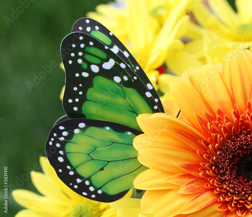 Pollination