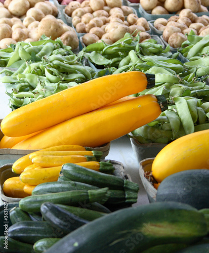 Yellow Squash