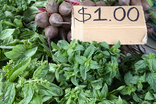 Fresh Herbs