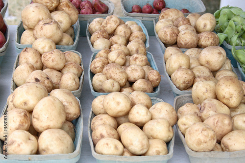 Small White Potatoes