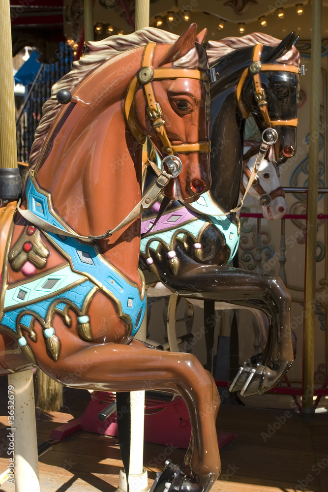 Carousel with brown horse portrait