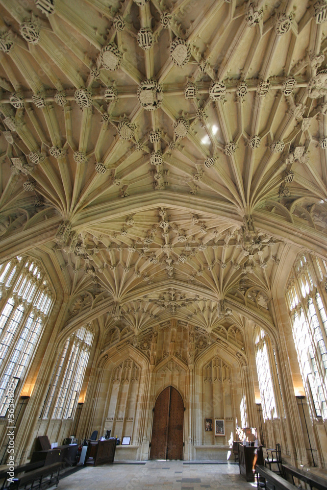 Ornate Ceiling, Bodleian Library, Oxford University