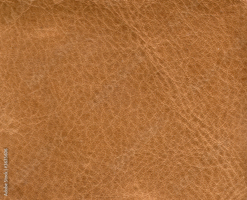 Wallpaper Mural A background of old skin 4 Torontodigital.ca