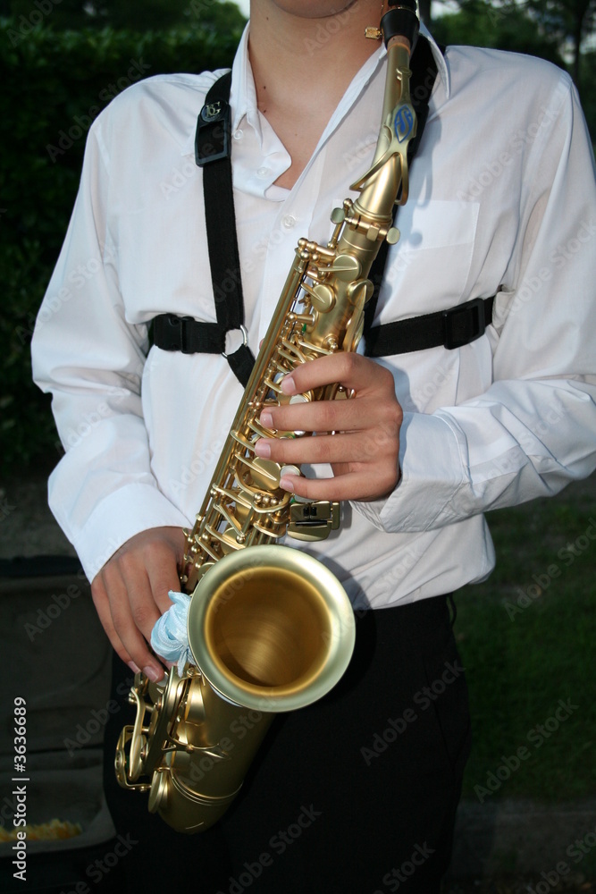 Obraz premium saxophoniste