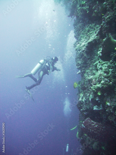 Scuba diver