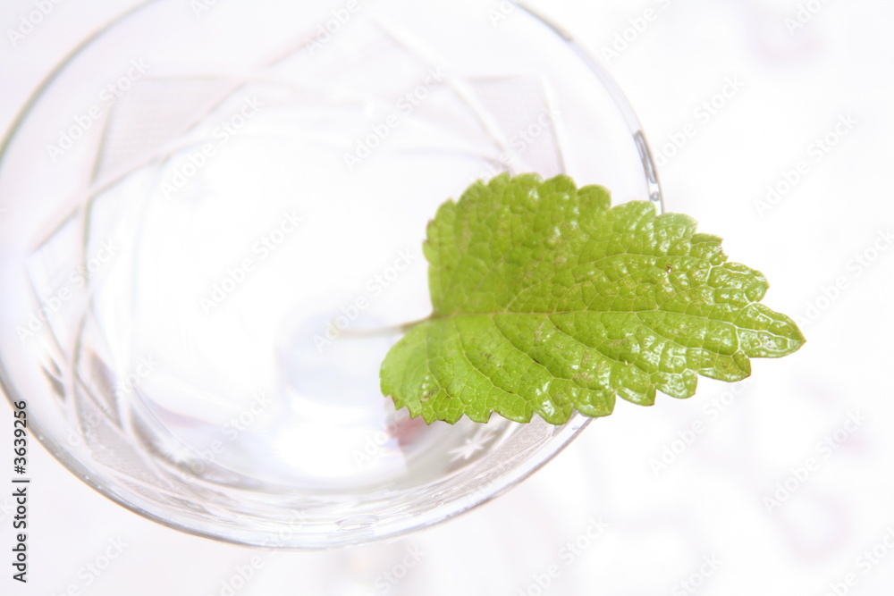 Cocktail Cocktail