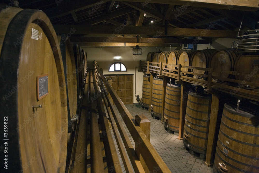 Bodega de vino con barricas y toneles e madera