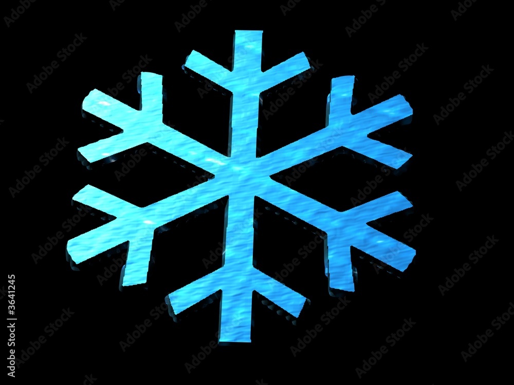 Obraz premium Snow on Black