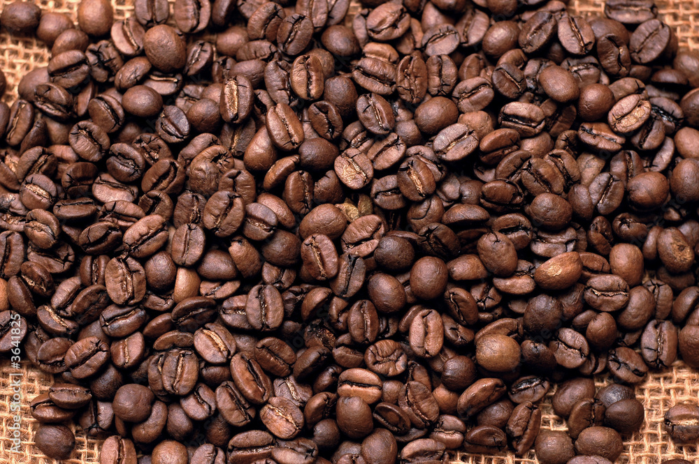 Fototapeta premium roasted coffee beans on a bag. vertical photo