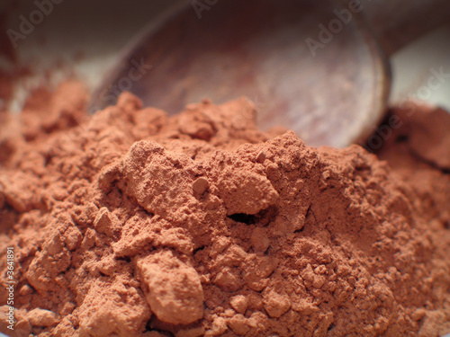 Obraz na płótnie chocolat en poudre