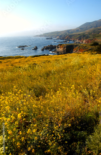 the California coast by Big Sur