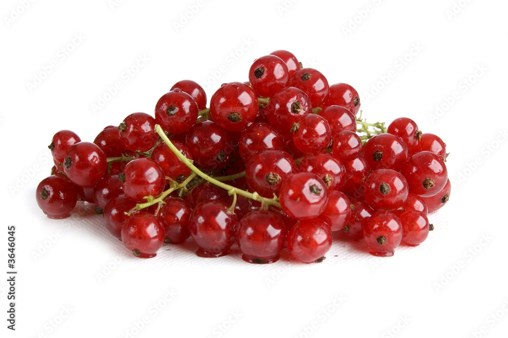 fresh redcurrant berry fruit close up shoot fresh redcurrant berry fruit close up shoot