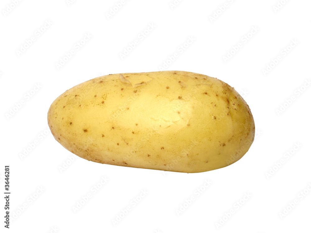 sweet potato isolated with clipping path sweet potato isolated with clipping path