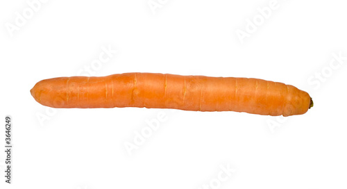 carrot isolated with clipping path