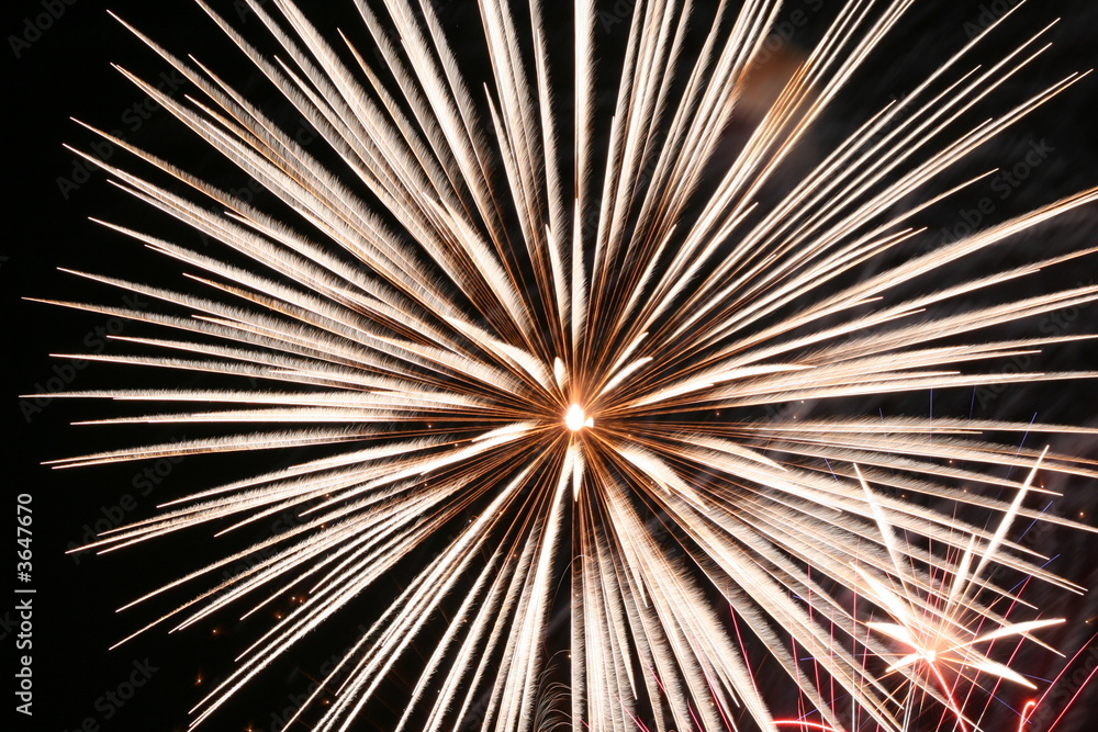 Obraz premium Fireworks