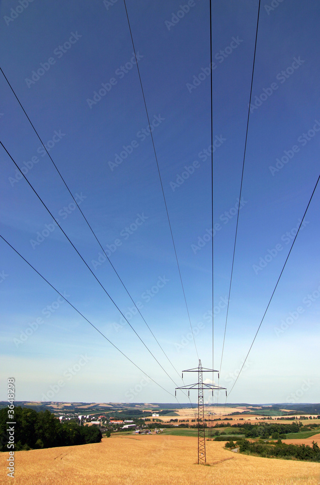Summer field with transmission poles and sky