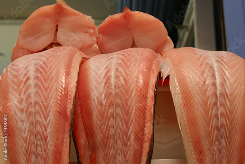 kingfish