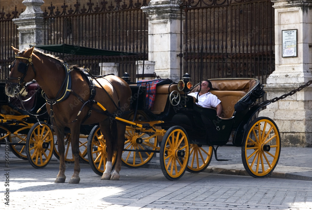 Horse and cart in Seville. Tourist attraction.