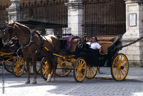 Horse and cart in Seville. Tourist attraction. © photogl