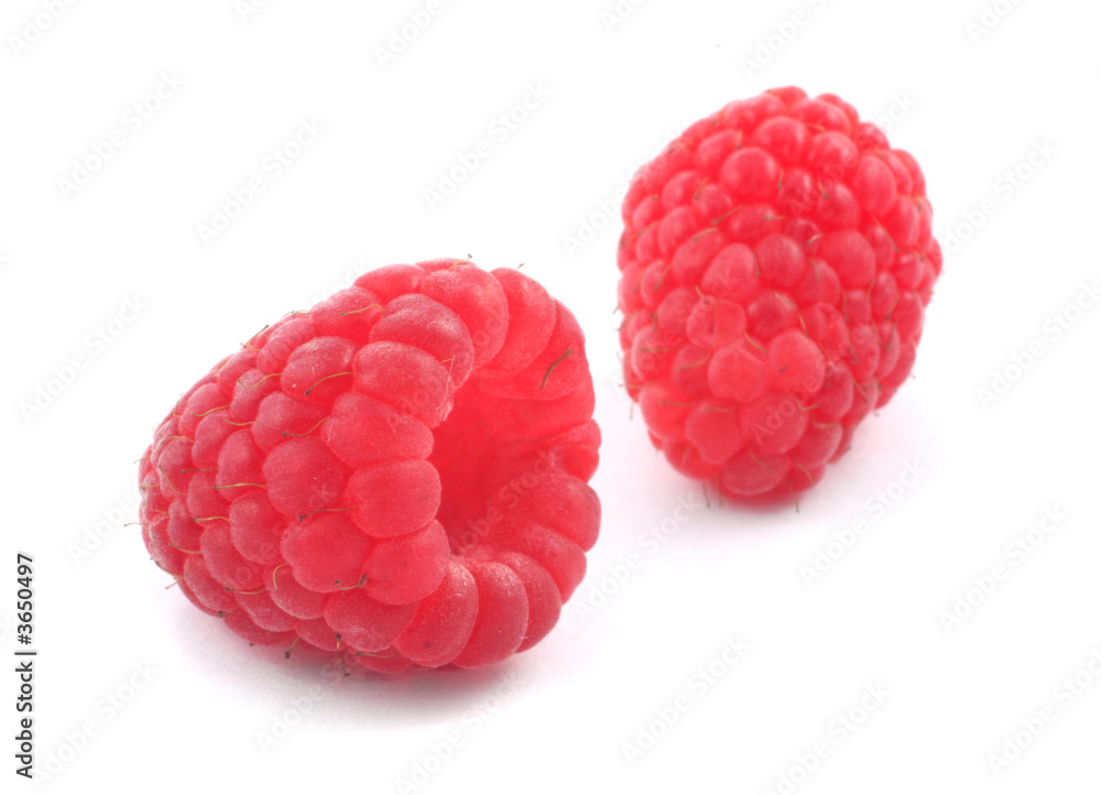 two ripe raspberries isolated on white background two ripe raspberries isolated on white background