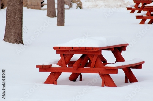 Winter Picnic