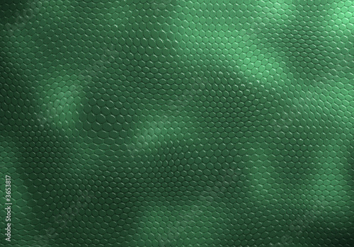 texture reptile photo