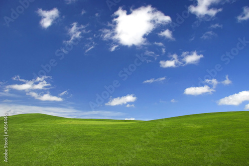 Fototapeta Naklejka Na Ścianę i Meble -  Beautiful green landscape with a great blue sky 