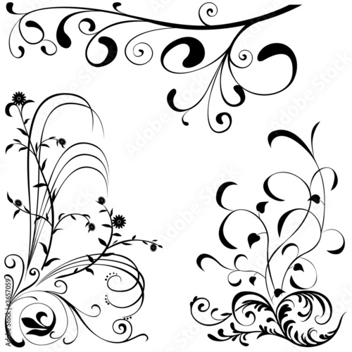 Floral elements C - popular floral segments