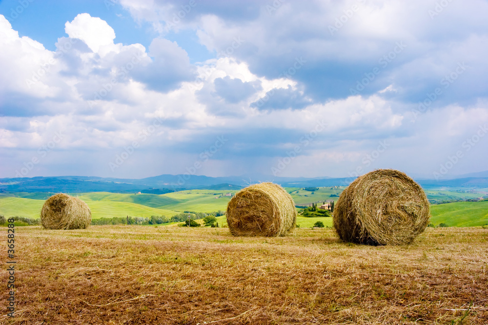 Hay Bales